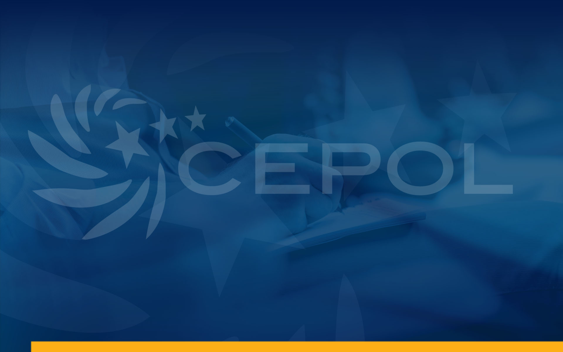 Tirocini al CEPOL