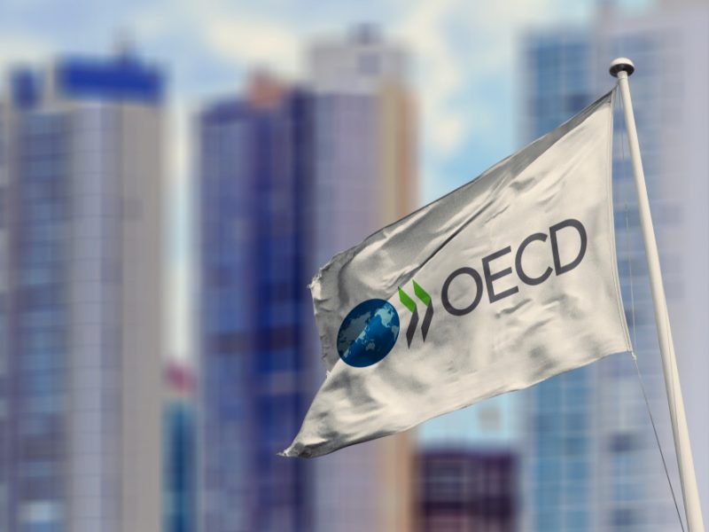 OECD Internship Programme 2024