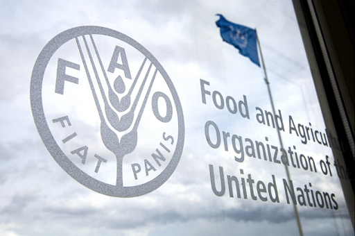 FAO - REU Internship Programme